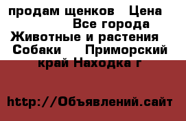 продам щенков › Цена ­ 15 000 - Все города Животные и растения » Собаки   . Приморский край,Находка г.